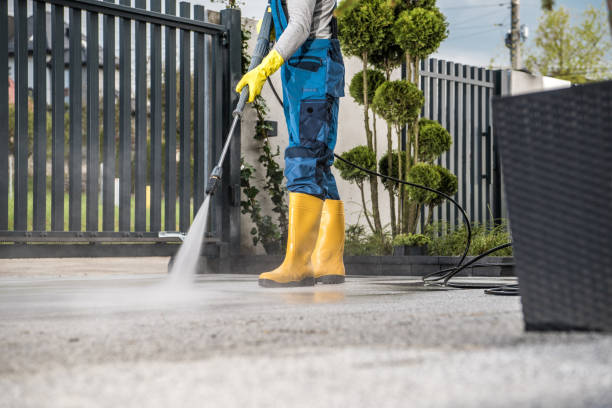 Best Driveway Pressure Washing  in Webster, SD